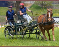 2POSIEUX 0261